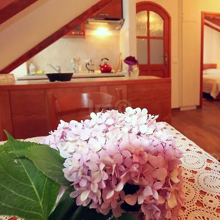 Spacious In With Private Terrace Vila Lopud